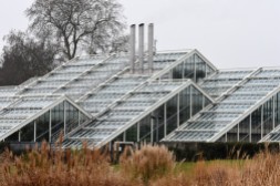 The Princess of Wales Conservatory from across the Grass Borders